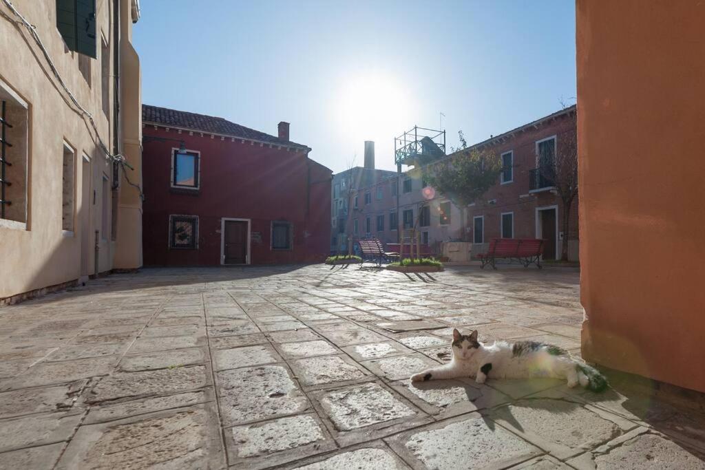 Ca' Ferrando, Brand New Apartment, Experienced Host! Venecia